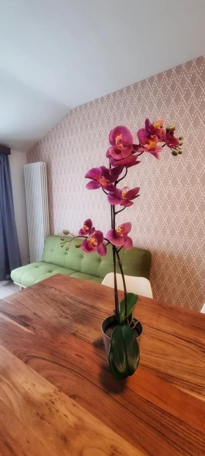 Casa Barcelli Sport & Family Apartments Torbole Sul Garda Extérieur photo